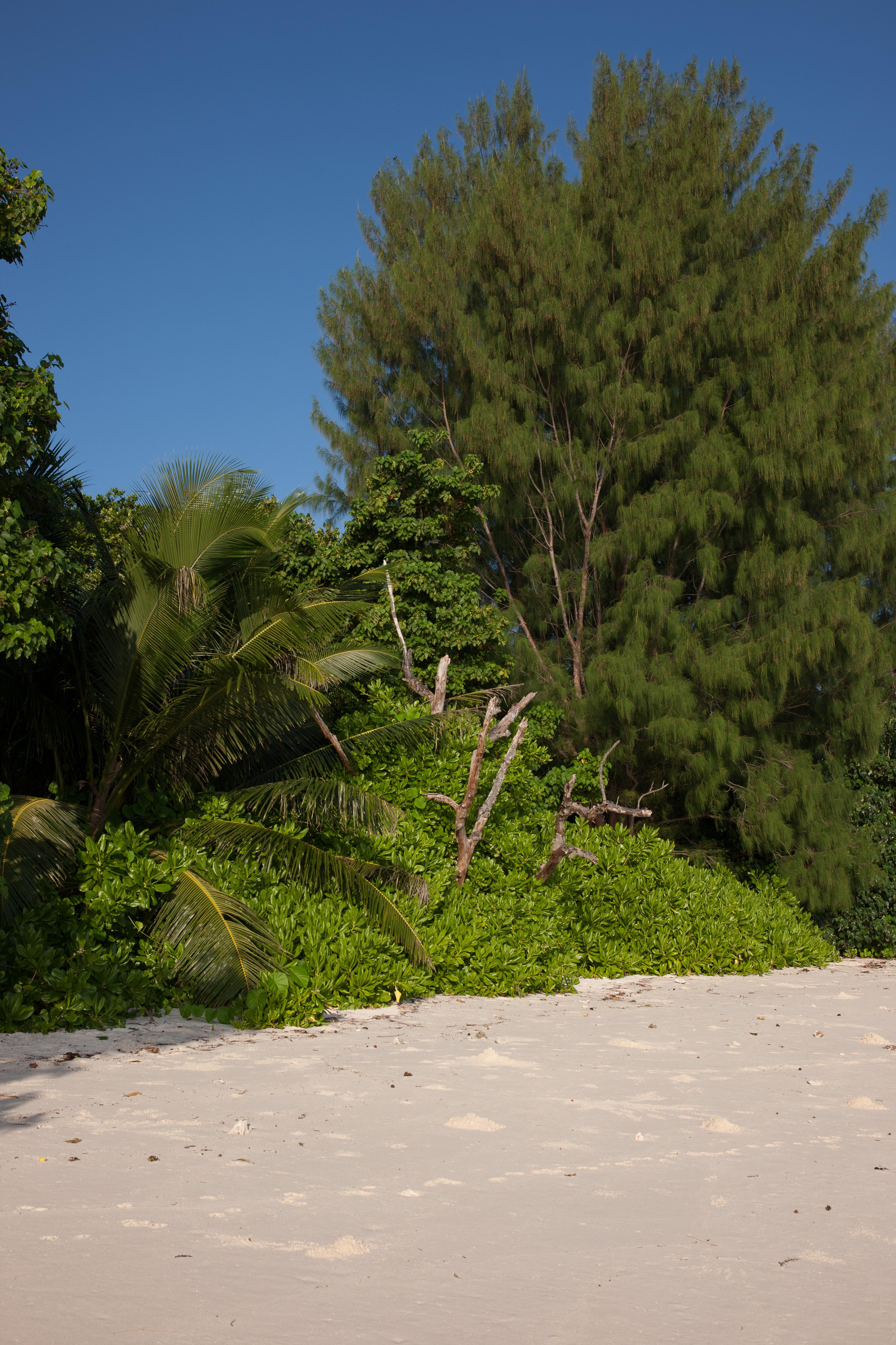 Le Relax Luxury Lodge (Adults Only) La Digue Exterior photo